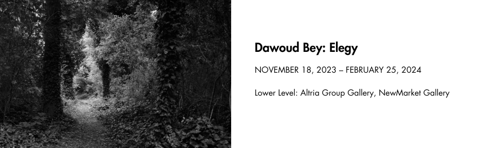 Dawoud Bey: Elegy