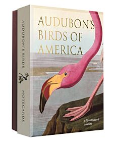 Audubon's Birds of America Notecard Set