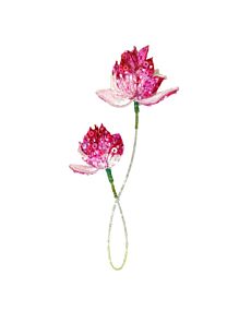 Blooming Lotus Brooch Pin