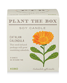 Catalan Calendula Plant The Box Candle