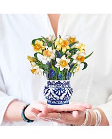 English Daffodil Mini Pop-Up Flower Bouquet