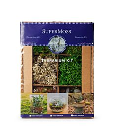 Forest Terrarium DIY Kit