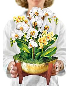 Serenity Orchid Pop-Up Flower Bouquet