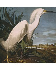 James Audubon Snowy Egret 1,000 Piece Puzzle