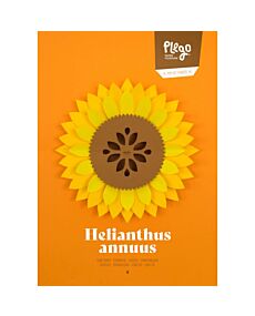 Sunflower Helianthus annus Pop-Up Figure