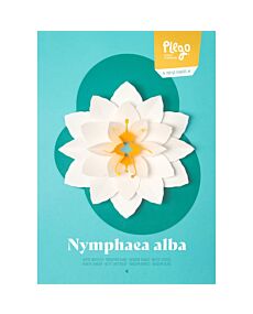 White Waterlily Nymphaea alba Pop-Up Figure