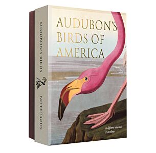 Audubon's Birds of America Notecard Set