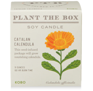 Catalan Calendula Plant The Box Candle