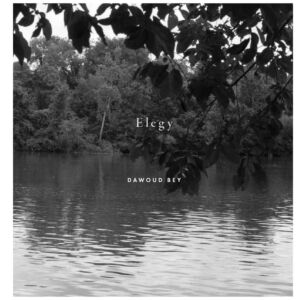 Dawoud Bey: Elegy