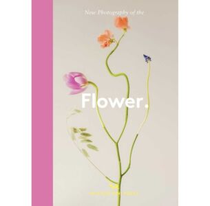 New Photography of the Flower.