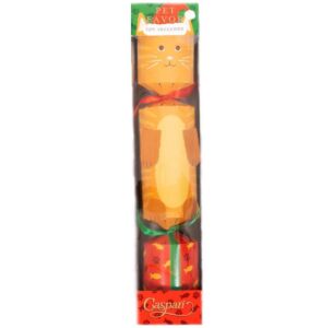 Santa Hat Cat Pet Favor