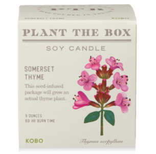 Somerset Thyme Plant The Box Candle