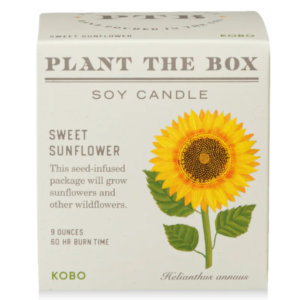 Sweet Sunflower Plant The Box Candle